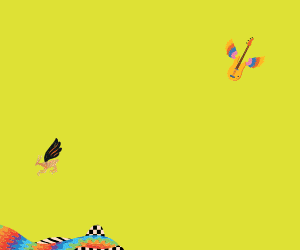 banner chapada